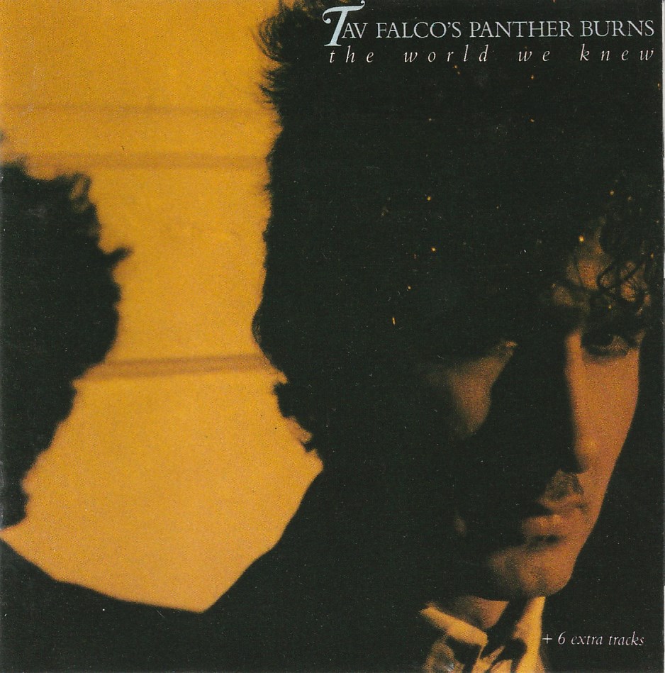 Tav Falco´s Panther Burns - The World We Knew