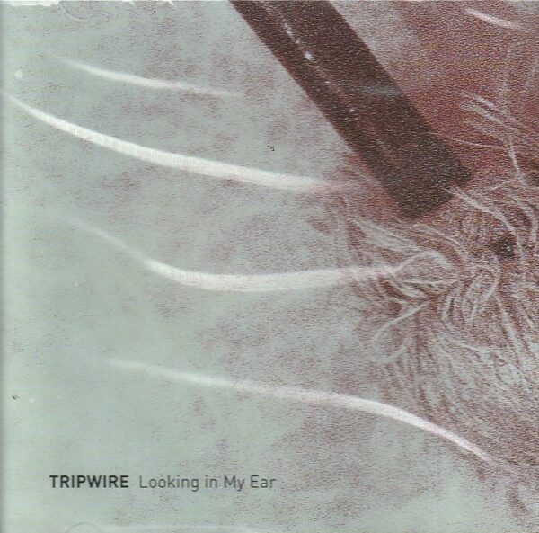 Tripwire – Looking In My Ear