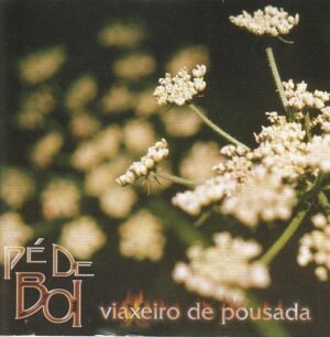 Pé de Boi - Viaxeiro de pousada